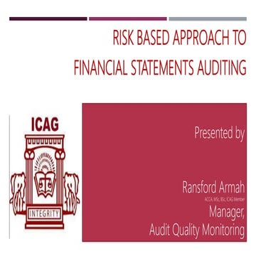 Ris Based Auditing Training March 2020.pptx