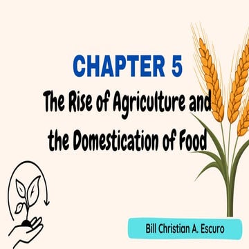 Rise of Agriculture and Food Domestication