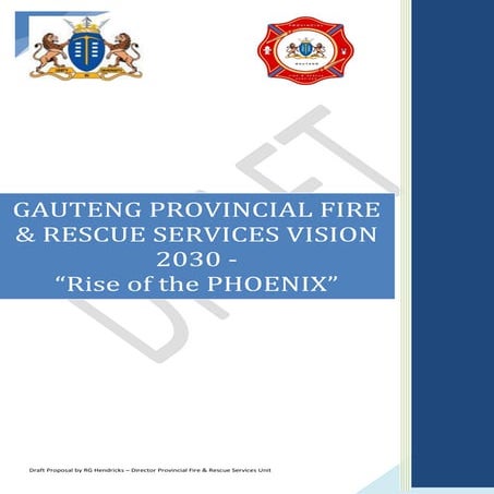 Rise of the phoenix vision 2030 Roland Hendricks