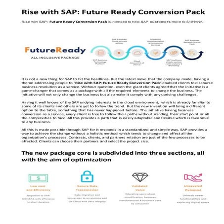 Rise with sap future ready conversion pack