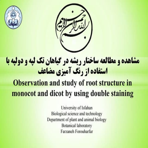 root system in plants described in pdf..