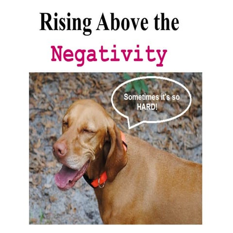 Rising Above Negativity