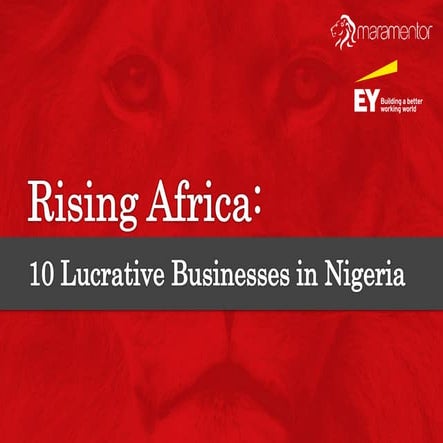 Rising Africa: 10 Lucrative Businesses in Nigeria