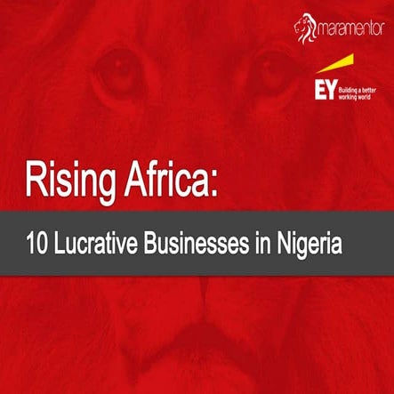 Rising africa  10 lucrative businesses in nigeria