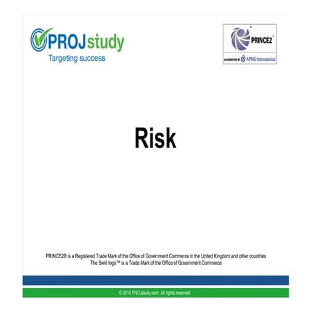 Risk.pdf