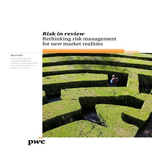 Risk Management Infographic | PDF
