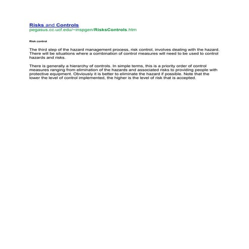 Risk and controls | DOCX