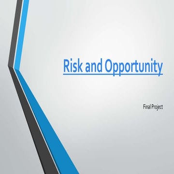 Risk and opportunity 