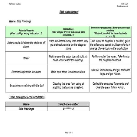 Media Risk Assessment | DOCX