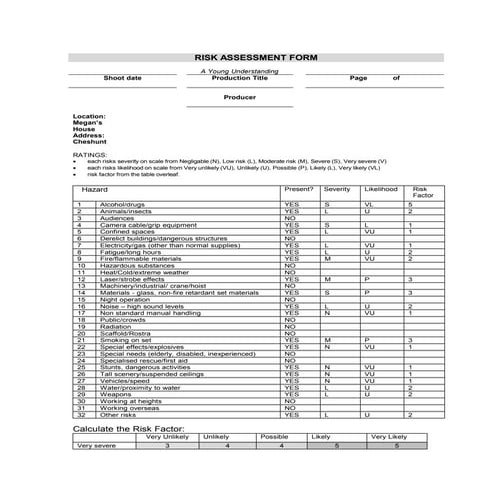 Risk assessment template. copy | DOCX