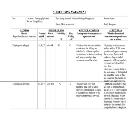British museum risk assessment (for the journey) | PDF