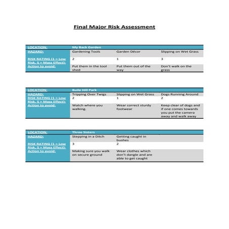 Risk assessment alley way | DOC