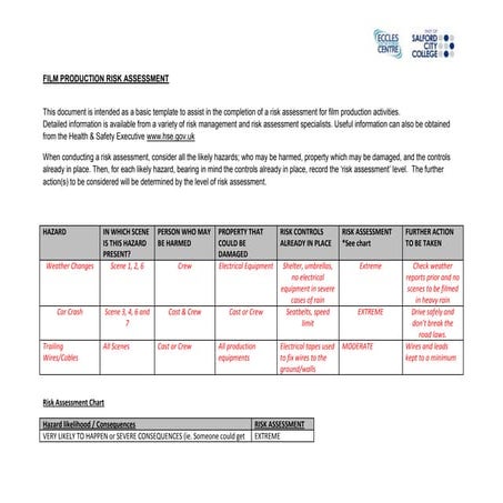 Risk assessment form drama | DOC