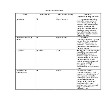Risk Assessment | DOCX