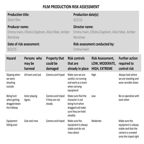 Risk assessment | PDF