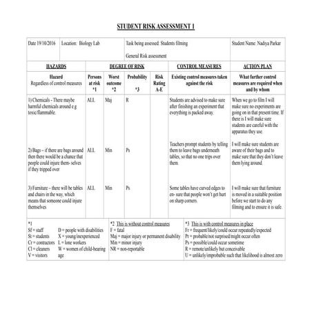 Student Risk Assessment Form | DOC