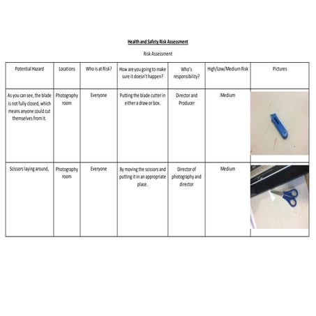 Risk assessment stage blocks | DOCX