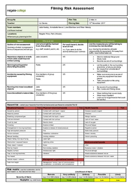 Risk assessment (sofia napolitano jones) | PDF