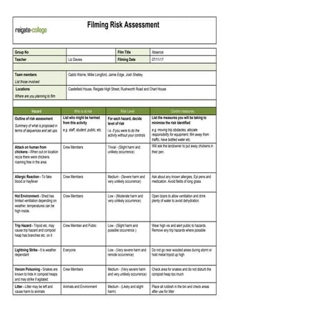 Risk assessment | DOCX