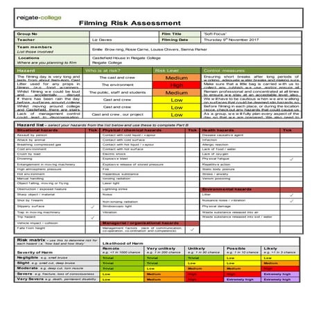 Risk Assessment Documentary | DOCX