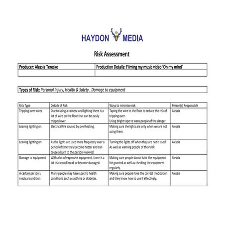 Risk assessment.docx