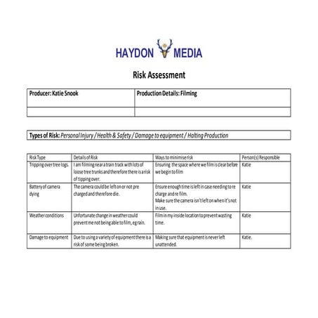 Risk assessment tv | DOCX