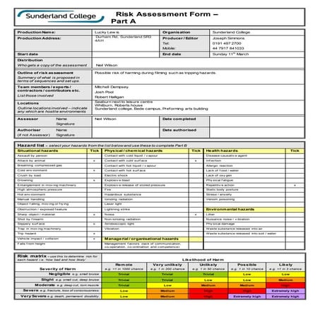 Risk assessment form | DOC