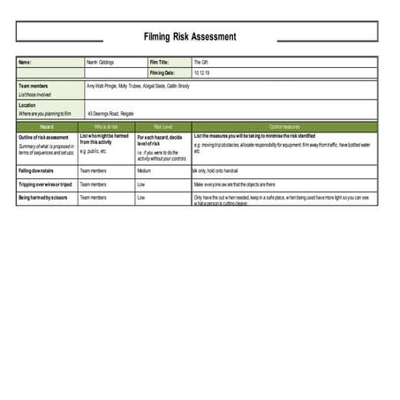 Risk assessment.docx.1