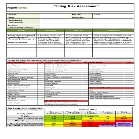 Risk assessment For media AS 