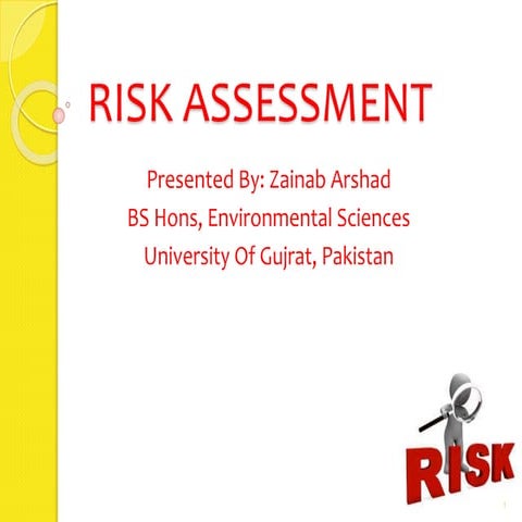 Risk assessment 