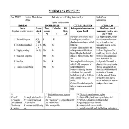 Student risk assessment | DOC