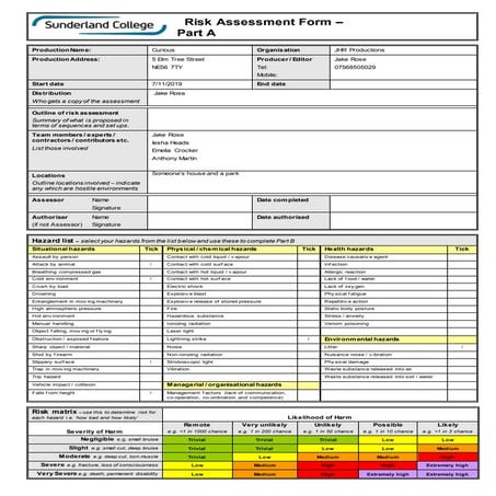 Risk assessment form | DOC