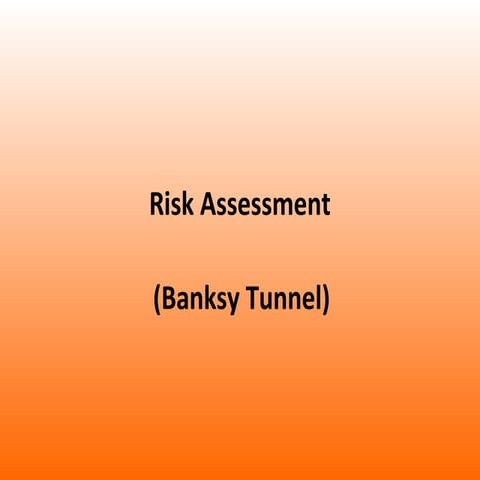 Risk assessment (banksy tunnel)