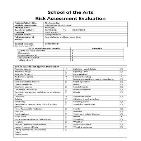 Risk assessment for foley ( example for future reference)
