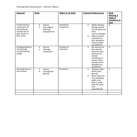 Music video risk assessment | DOCX