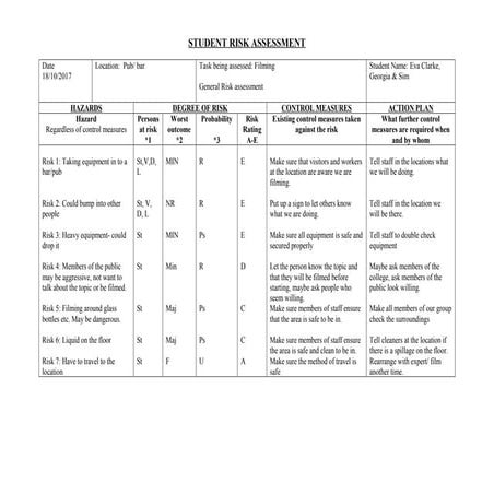 Risk assessment for pub | DOC