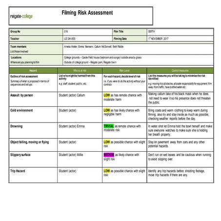 Risk assessment | DOCX