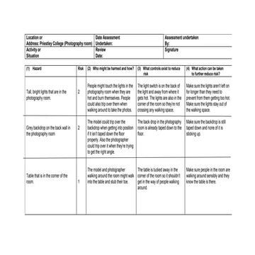 British museum risk assessment (for the journey) | PDF