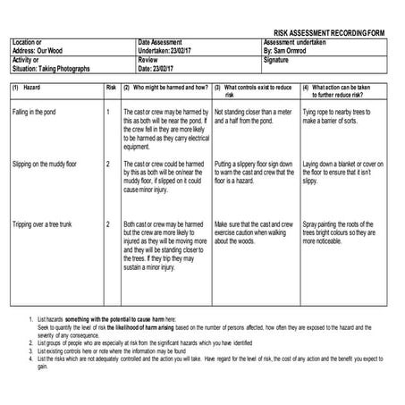 Risk assessment our wood | PPT