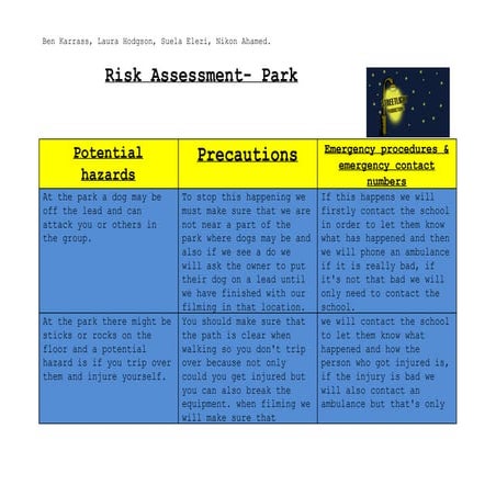 Risk assessment on town centre | DOC