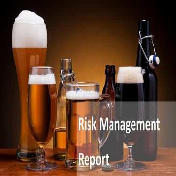 Risk Assessment Report