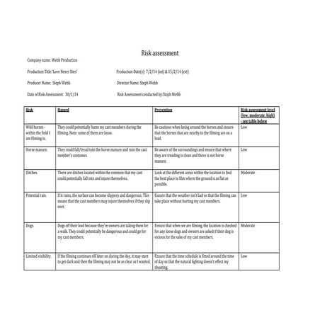 Bank Ratings Framework | PDF