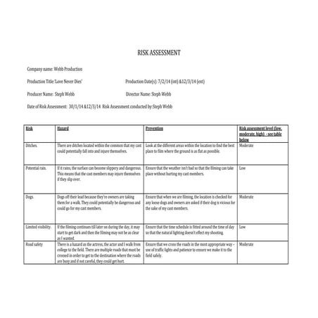 Risk assessment | DOCX