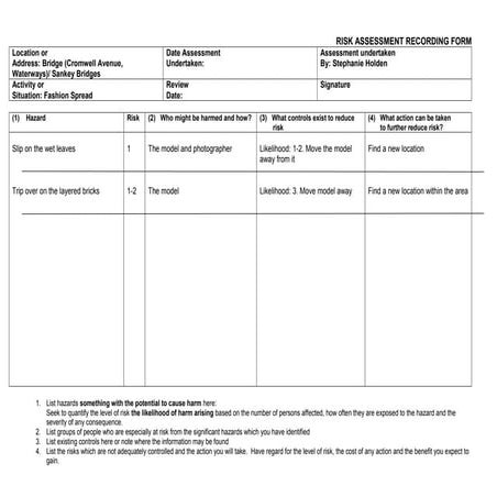 Risk assessment sankey bridges | DOC