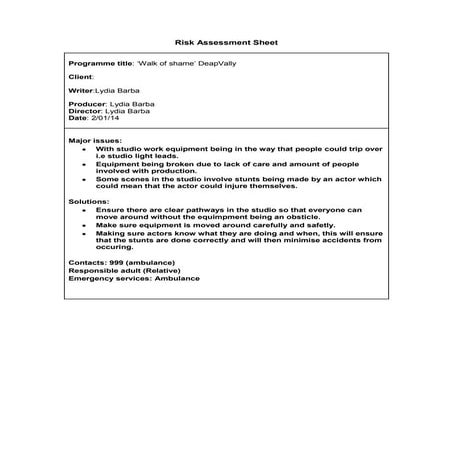 Risk assessment on town centre | DOC