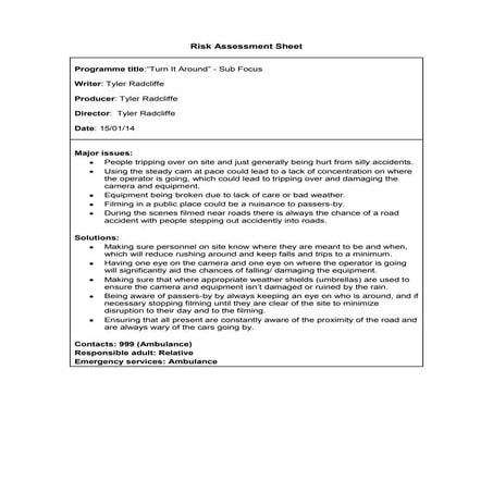 Risk Assessment Task Sheet | DOCX