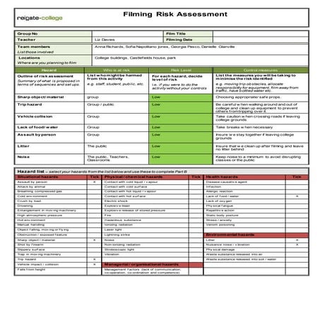 Risk assessment (sofia napolitano jones)