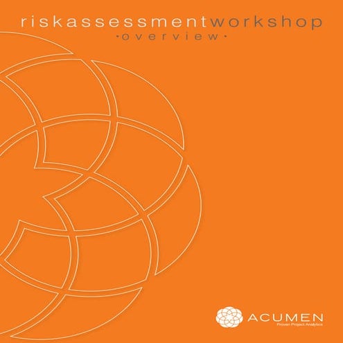 Acumen Risk Workshops Overview
