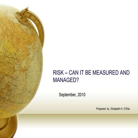 Risk and Opportunities | PPTX
