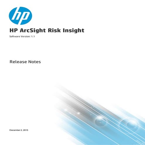 Release Notes for Risk Insight 1.1